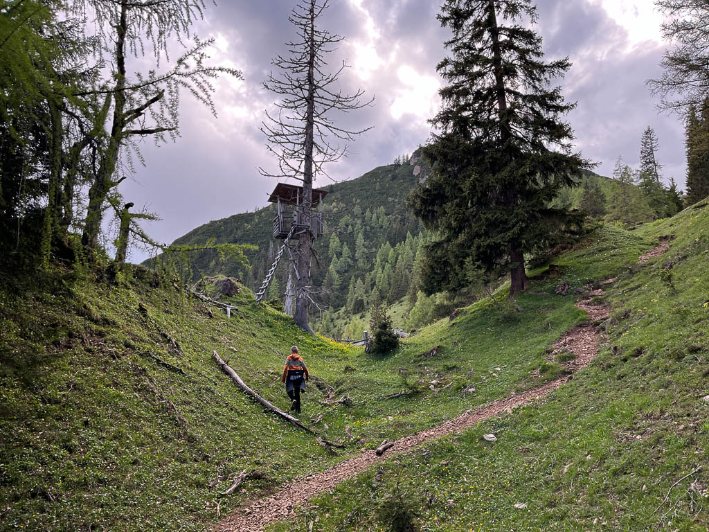 Auf dem Weg zum Hochsitz auf einem Wanderweg