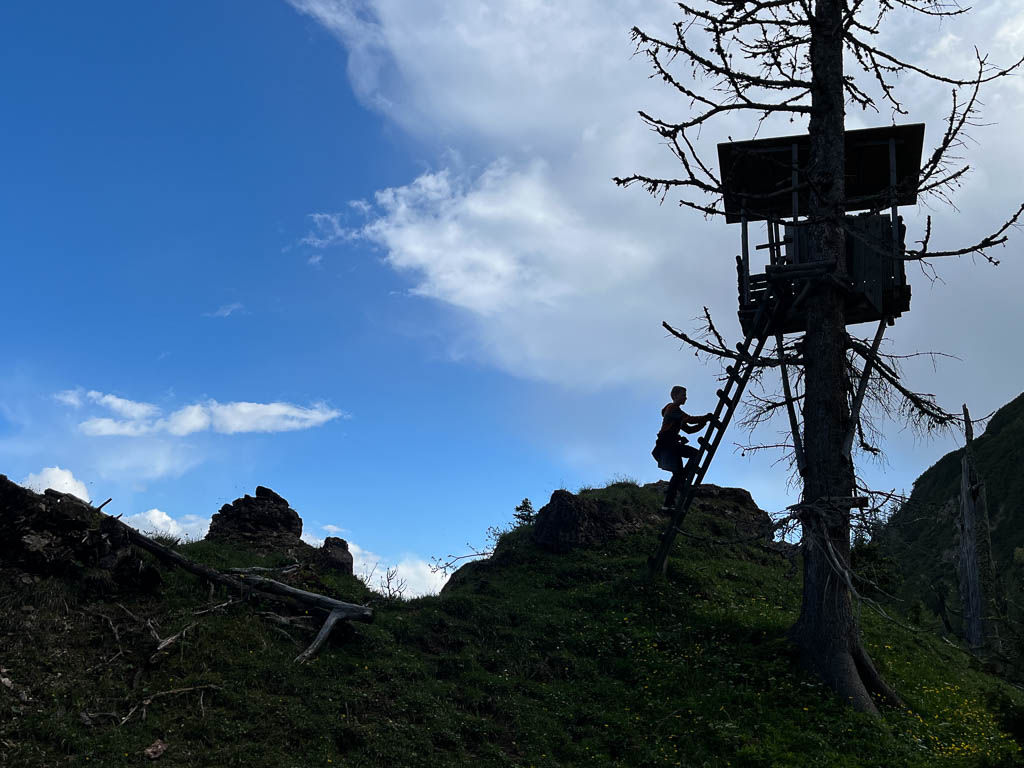 Aufstieg zum Hochsitz auf einem Wanderweg