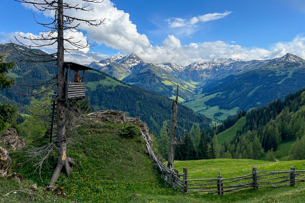 Ausblick vom Hochsitz auf das Alpbachtal