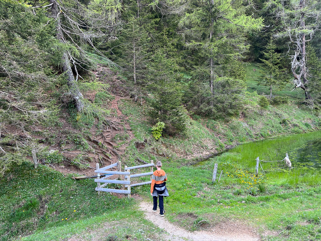 Der Aufstieg über den Steinweg zur Gratlspitz