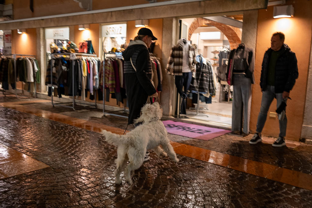 Ein Hund der aussieht wie Fuchur aus der unendlichen Geschichte