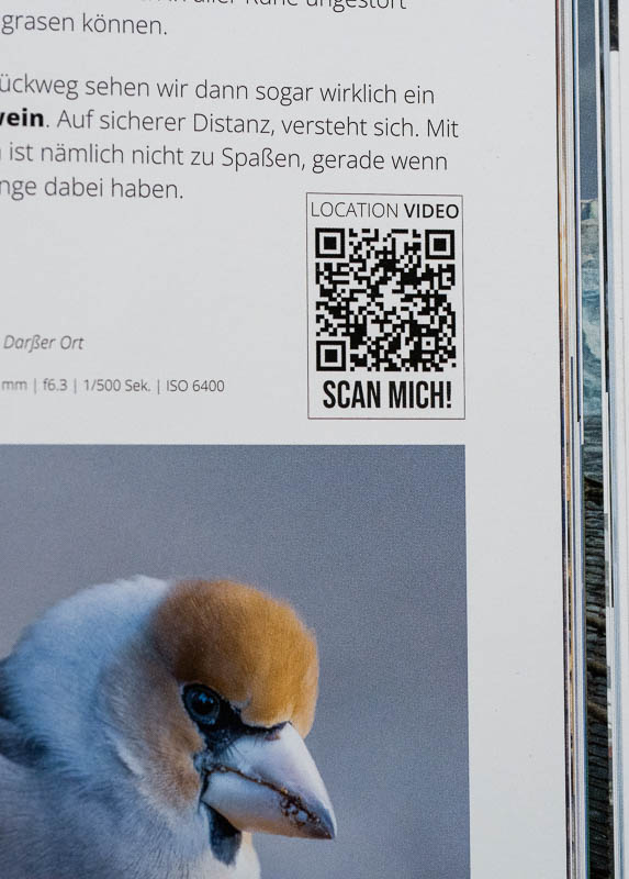 QR-Codes mit Link zu YouTube im Magazin