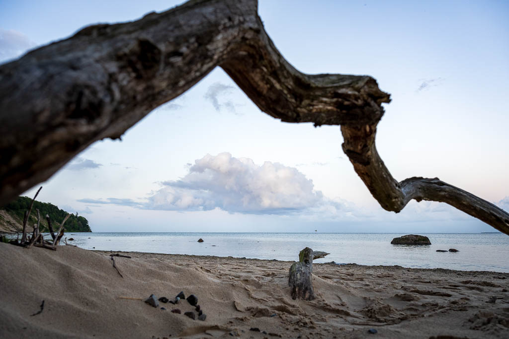 Äste am Südstrand, die eine Wolke umranden